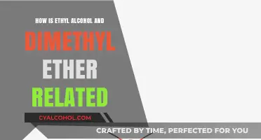 Exploring the Chemical Bond: Ethyl Alcohol and Dimethyl Ether's Relationship