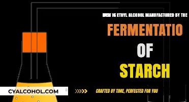 The Magic of Fermentation: Ethyl Alcohol from Starch