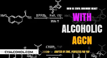 Ethyl Bromide and Alcoholic AgCN Reaction Mechanism Explained
