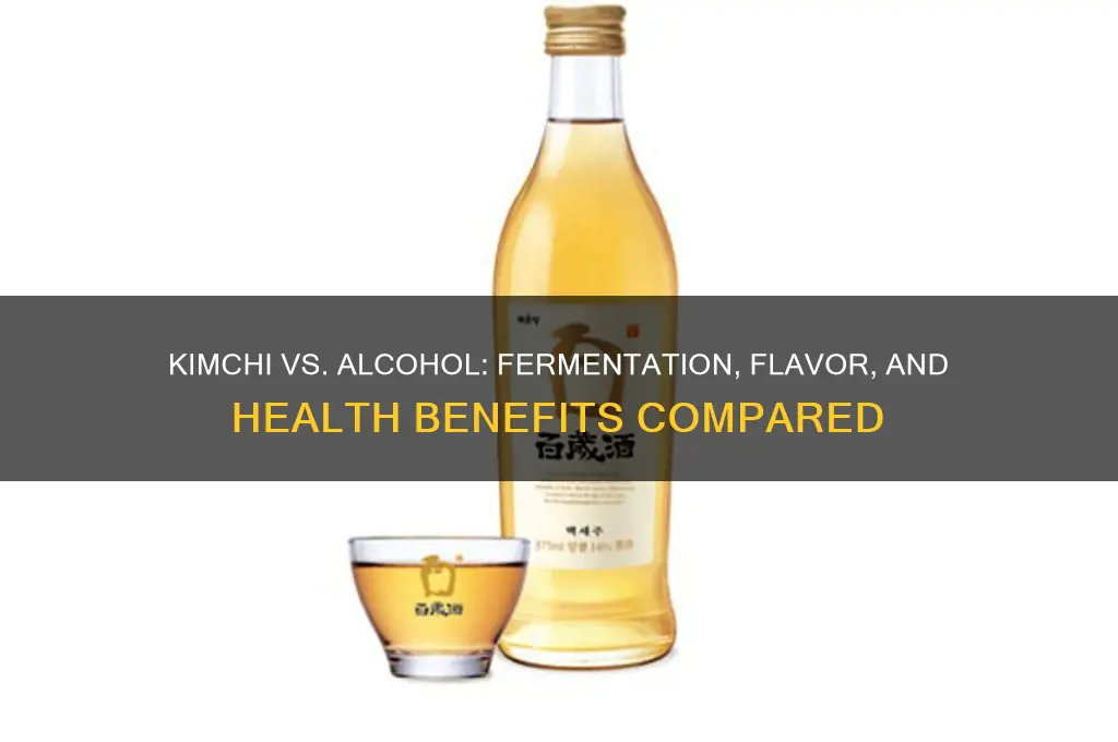 how is kimchi different from alcohol