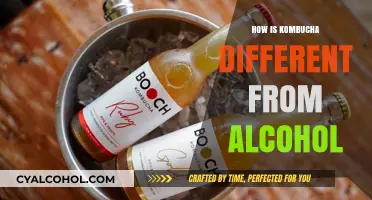 Kombucha vs. Alcohol: Key Differences in Fermentation, Effects, and Benefits