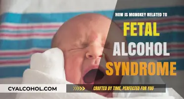 Monokey's Role in Understanding and Preventing Fetal Alcohol Syndrome