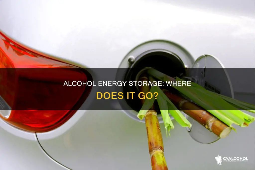 how is most of the energy from alcohol stored