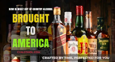 The Global Bar: How Alcohol Travels to the US