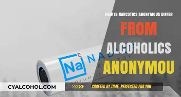 NA vs. AA: Key Differences in Recovery Approaches and Philosophies