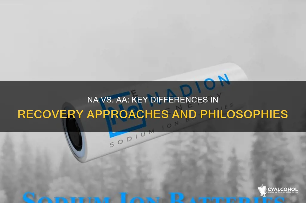 how is narcotics anonymous differ from alcoholics anonymous