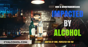 Alcohol's Effects on Neurotransmission: Unraveling Brain Communication Disruptions