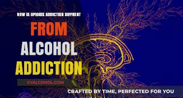 Opioids vs. Alcohol: Key Differences in Addiction and Recovery