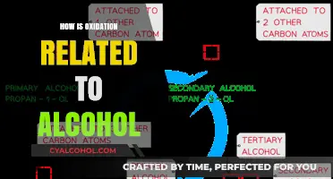 Oxidation's Role in Alcohol Metabolism and Health Effects Explained