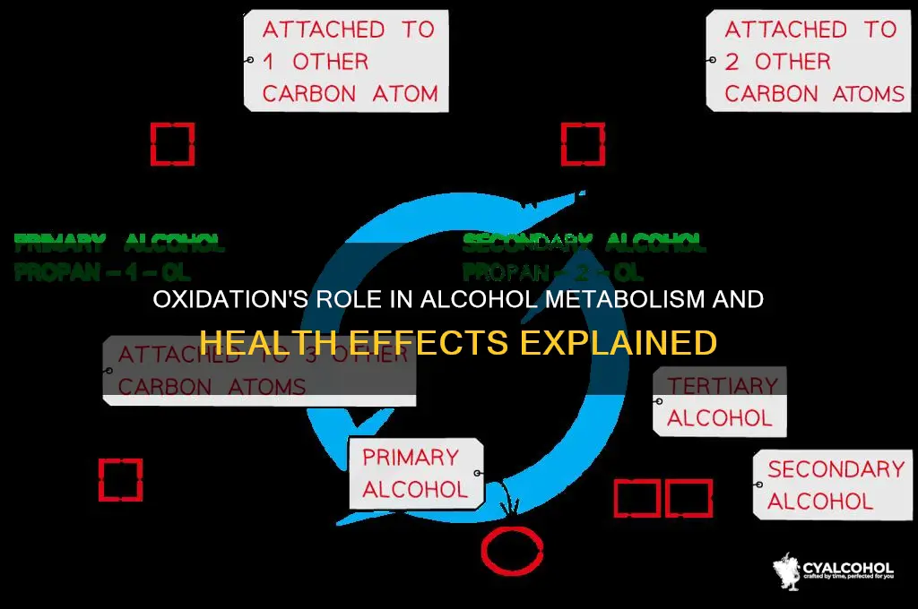 how is oxidation related to alcohol