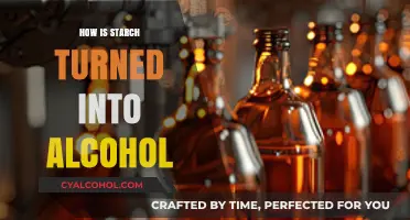 From Starch to Spirits: The Science of Alcohol Fermentation Explained