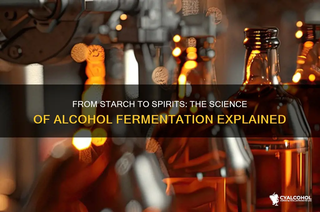 how is starch turned into alcohol