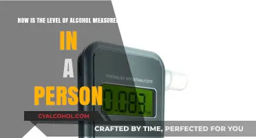 Measuring Alcohol in the Body: BAC Understanding