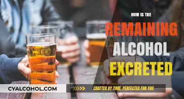How Your Body Eliminates Remaining Alcohol: The Excretion Process Explained