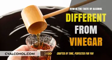 Alcohol vs Vinegar: A Taste Contrast