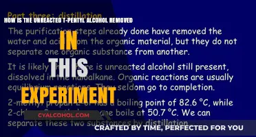 Unreacted T-Pentyl Alcohol Removal: The Experimental Process