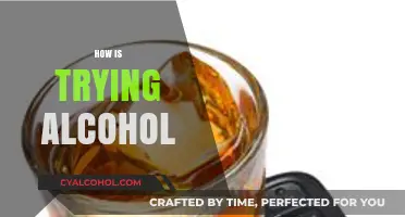 Exploring Alcohol: First-Time Experiences, Risks, and Responsible Choices