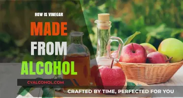From Alcohol to Vinegar: The Fermentation Process Explained