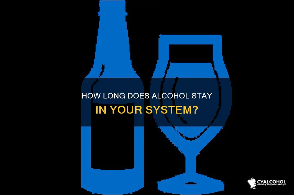 how kong dkes alcohol stay in yoire sysytem
