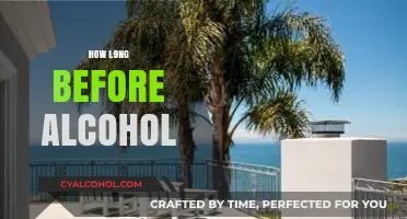 How Long Before Alcohol Leaves Your System: A Complete Guide