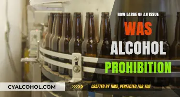 Alcohol Prohibition's Impact: A Historical Analysis of Its Significance