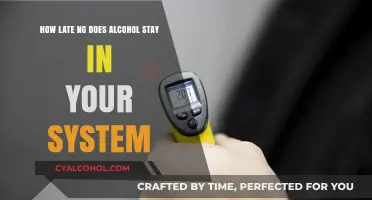 Alcohol's Staying Power: How Long Does It Last?