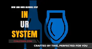 How Long Does Alcohol Stay in Your System?