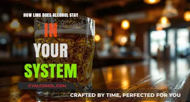 How Long Does Alcohol Stay in Your System: Detection Times Explained
