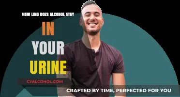 How Long Does Alcohol Remain Detectable in Your Urine?