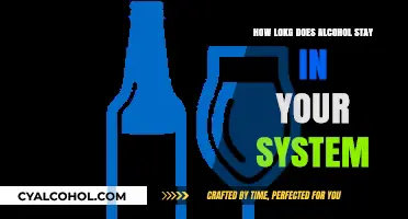 How Long Does Alcohol Remain Detectable in Your Body?