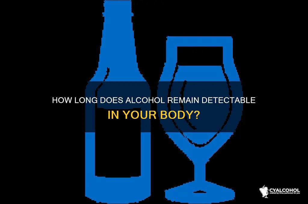how lokg does alcohol stay in your system