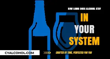 How Long Does Alcohol Remain Detectable in Your Body?