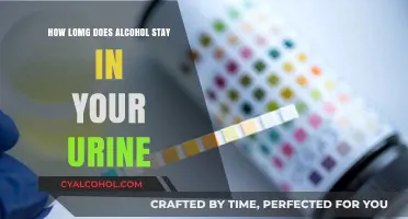 How Long Does Alcohol Stay in Your Urine?