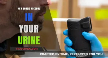 How Long Does Alcohol Stay Detectable in Your Urine?