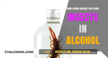 Preserving Insects in Alcohol: Optimal Duration for Perfect Specimen Preparation