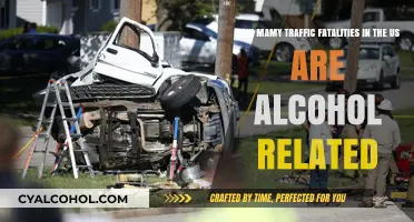 Alcohol's Fatal Impact on US Roads