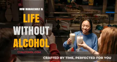Life Without Alcohol: Challenges, Benefits, and Practical Tips for Sobriety