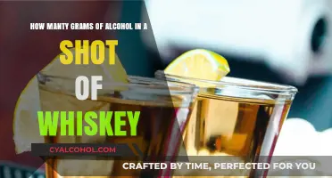 Whiskey Shots: How Many Grams of Alcohol?