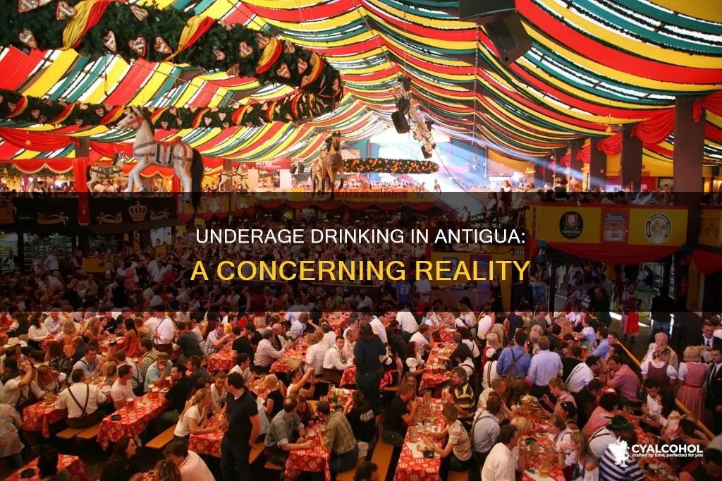 how many 16 year olds by alcohol in antigua