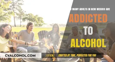 Alcohol Addiction Crisis in New Mexico