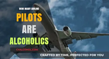 Unveiling the Truth: Alcoholism Among Airline Pilots - A Concern?