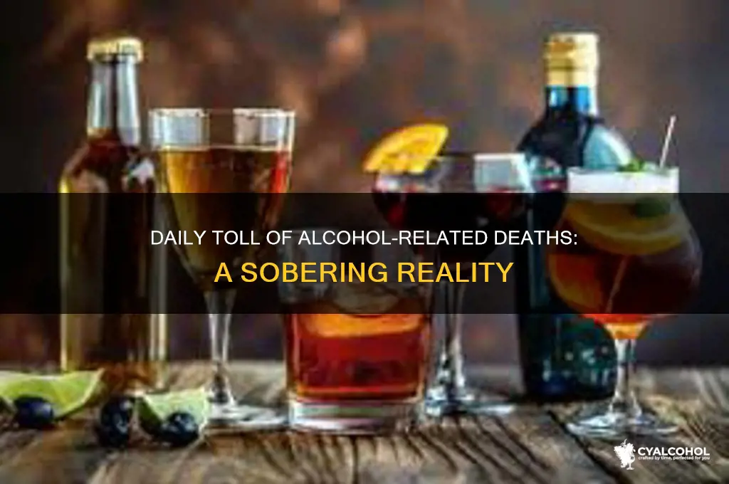 how many alcohol deaths a day