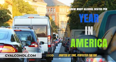 Alcohol-Related Deaths in America: Annual Toll and Prevention Strategies