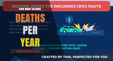 Annual Alcohol-Related Fatalities: Shocking Statistics and Preventive Measures
