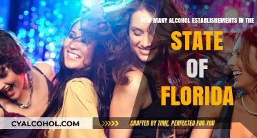Florida's Alcohol Establishments: A Comprehensive Count