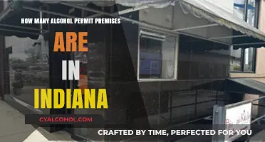 Indiana's Alcohol Permit Premises: A Comprehensive Count and Overview