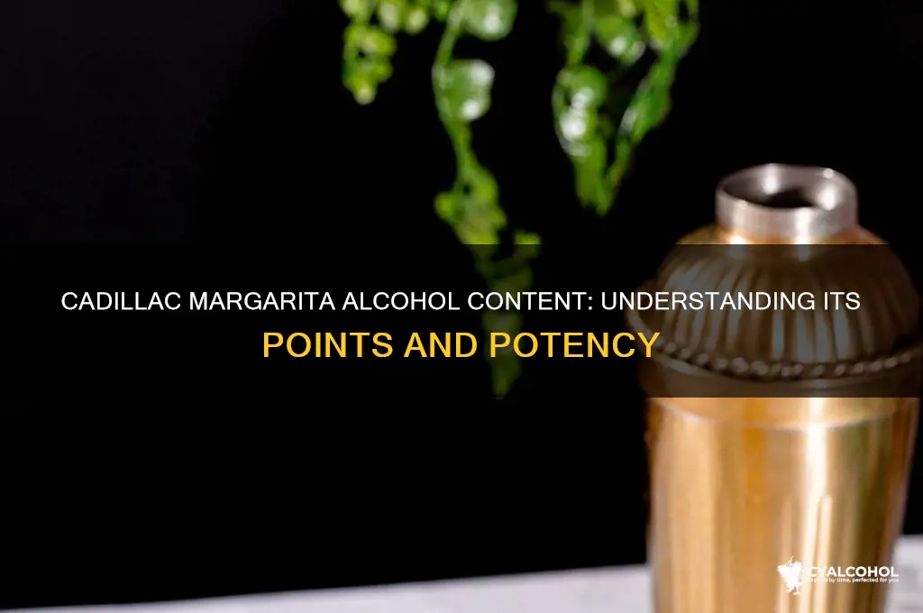 how many alcohol points is a cadillac marquerita