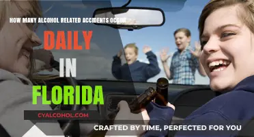 Florida's Daily Alcohol-Related Accident Toll