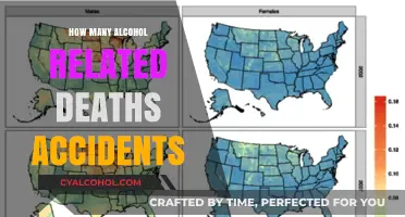 Alcohol-Related Fatalities: Uncovering the Shocking Toll of Drunk Driving