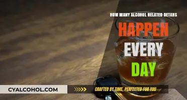 Daily Toll: Alcohol-Related Deaths and Their Impact on Society